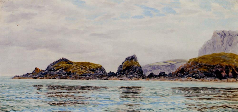 Monkstone paysage marin Brett John Beach Peintures à l'huile